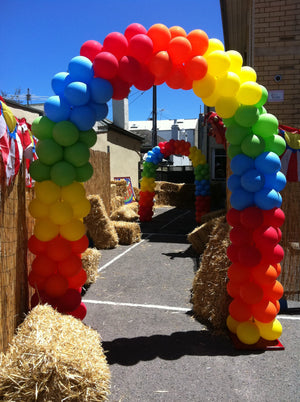 Balloon Arch Adelaide - Single Door