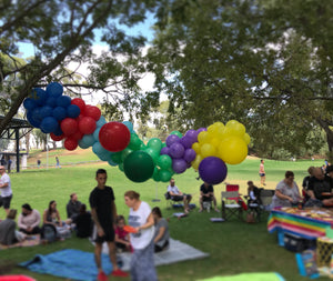 Balloon Garland Adelaide $75 Per Meter