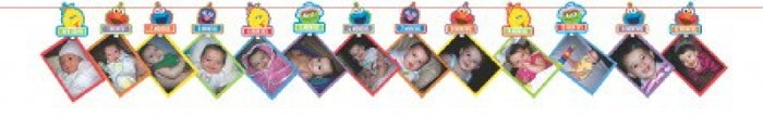 Sesame Street 1st Birthday Photo Garland